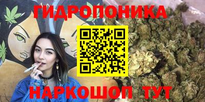 эйфоретик Северобайкальск