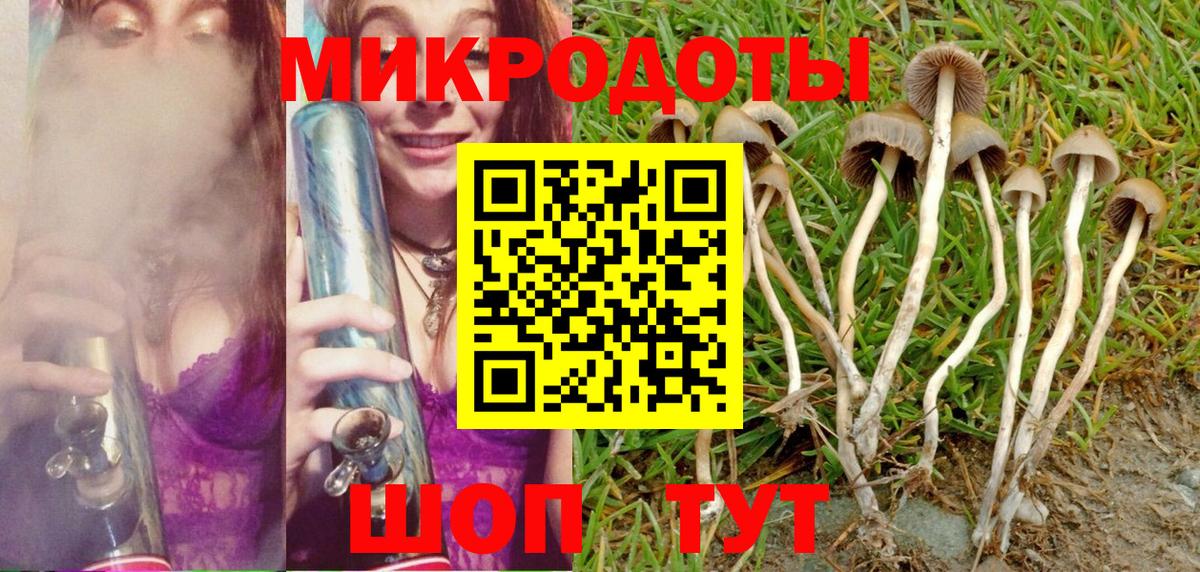 Псилоцибиновые грибы Magic Shrooms  Псилоцибиновые грибы Magic Shrooms  Вход с VPN  Соль-Илецк 
