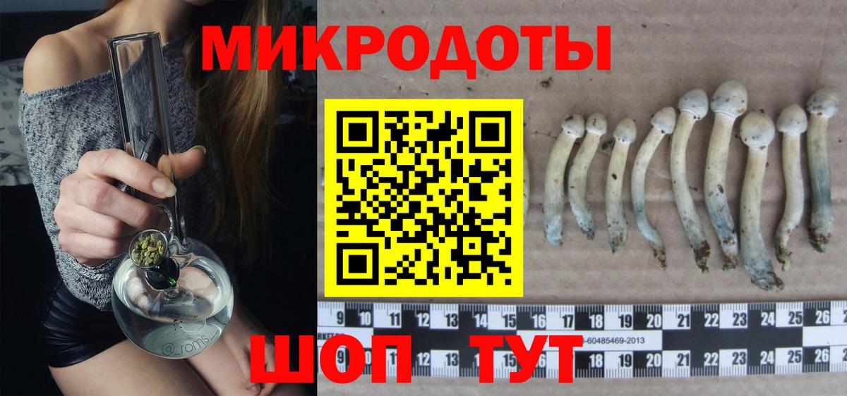 Галлюциногенные грибы прущие грибы Соль-Илецк